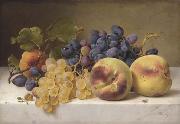 Johann Wilhelm Preyer A Still Life with Peaches and Grapes on a Marble Ledge USA oil painting artist